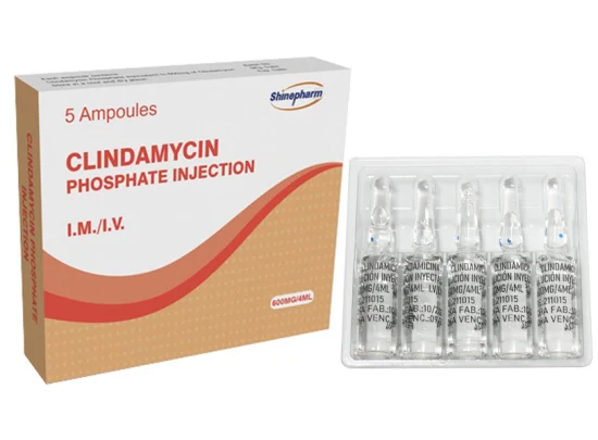 Inyección de fosfato de clindamicina 600 mg/4 ml con GMP OEM