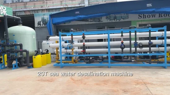 La máquina desalinizadora de agua de mar de 10000 lph se utiliza para áreas con alto contenido de sal y álcalis y áreas costeras