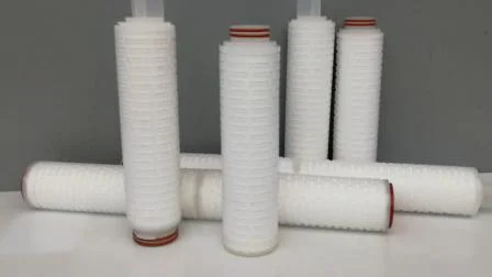 Cartucho de filtro plisado de PVDF hidrófilo de doble capa de filtración de agua para Apis estéril
